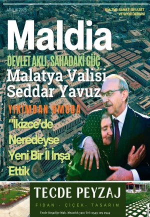 Test Dergi 3