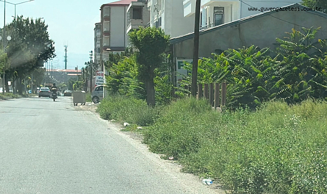 Hastane Yolunda Kaldırımlar Otlardan Görünmüyor